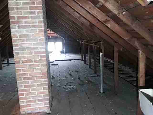 Testing again(32).jpg